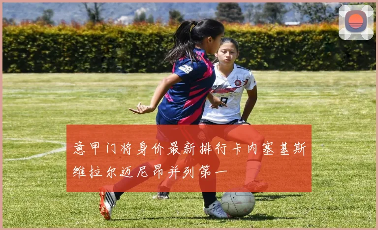 意甲门将身价最新排行卡内塞基斯维拉尔迈尼昂并列第一